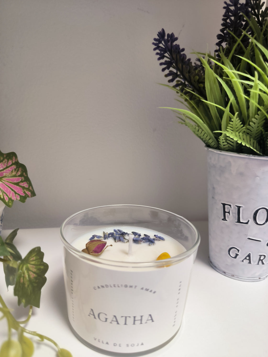 Vela Agatha