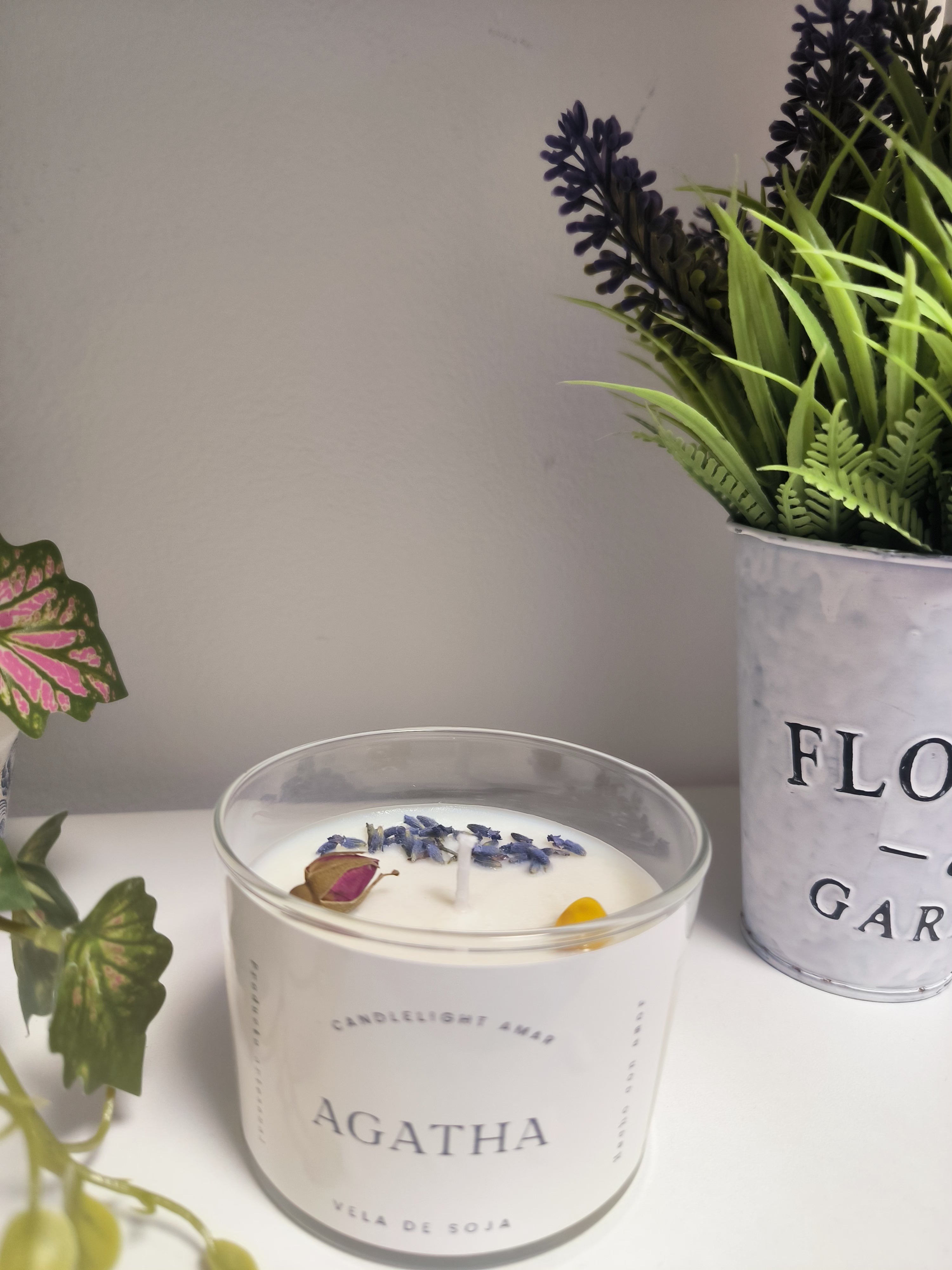 Vela Agatha