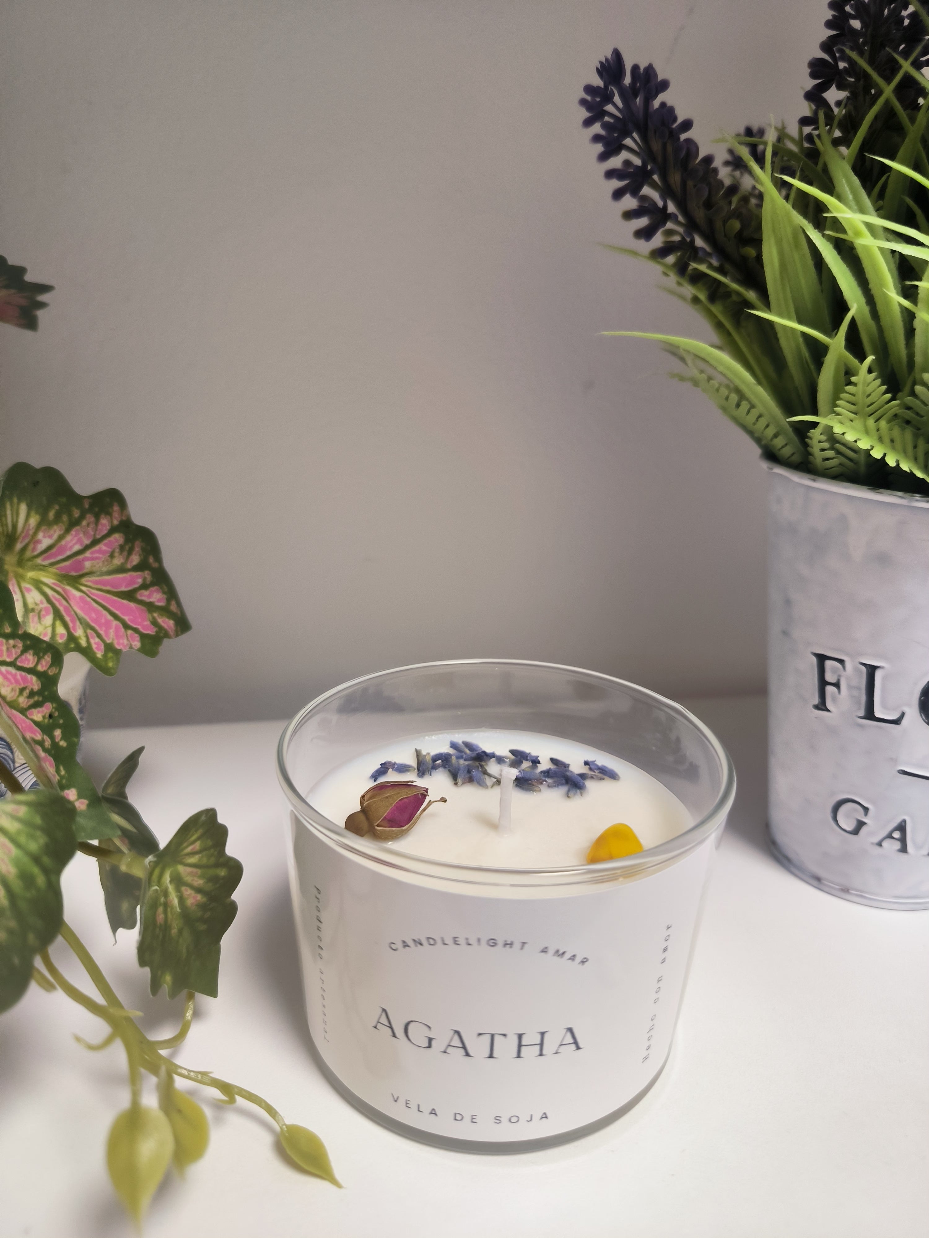 Vela Agatha