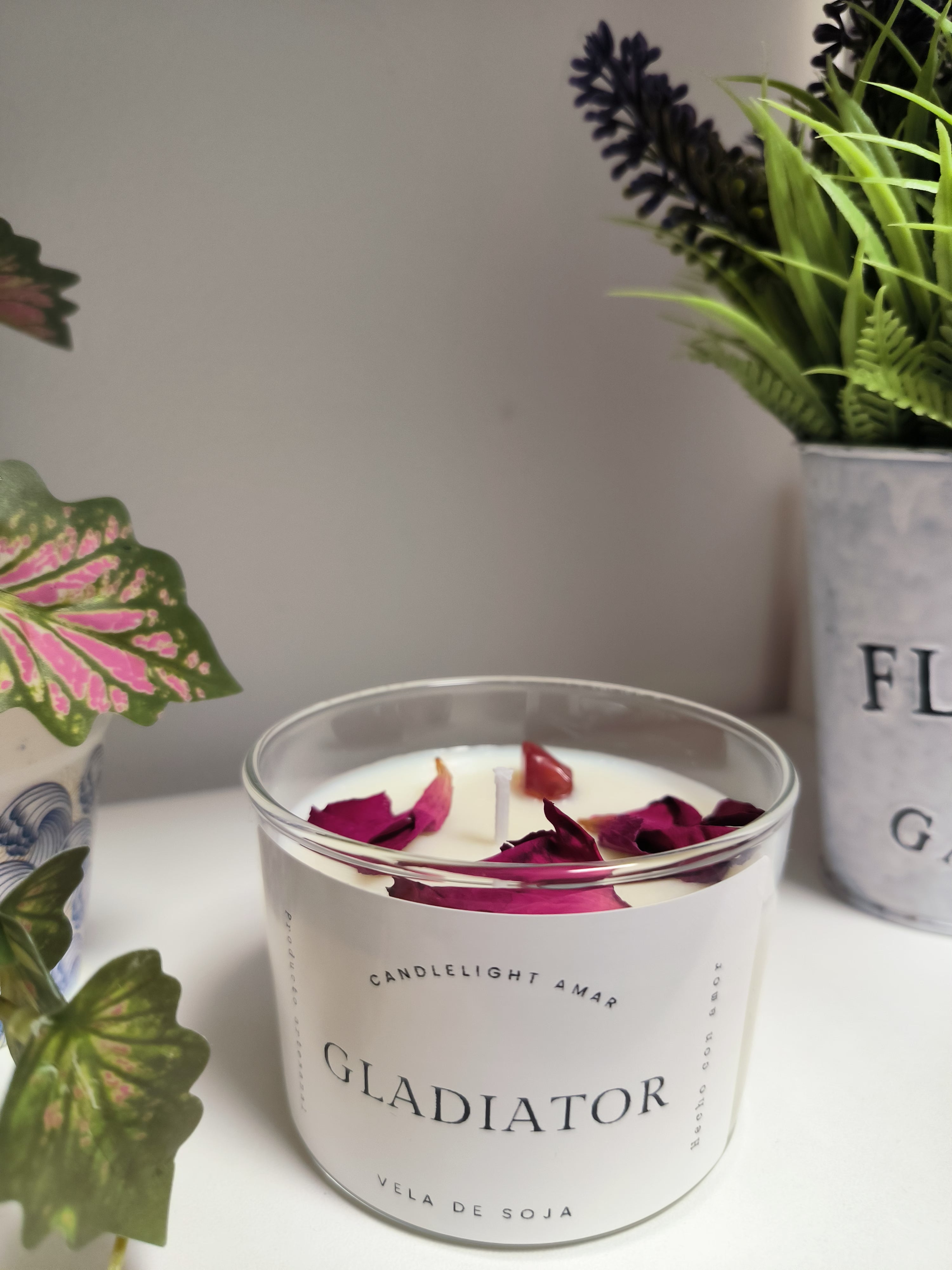 Vela Gladiator