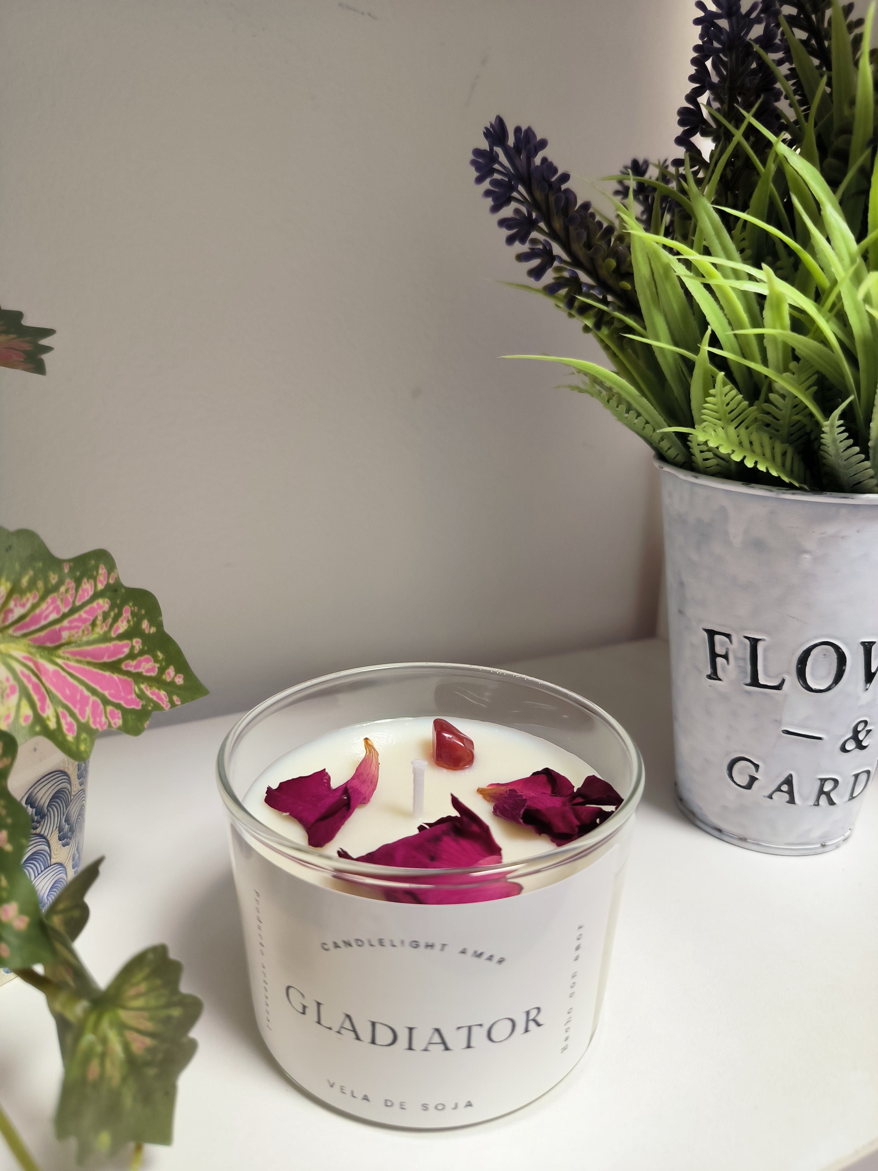 Vela Gladiator